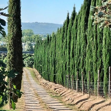 Camugnano Farm Villa Rapolano Terme Eksteriør bilde