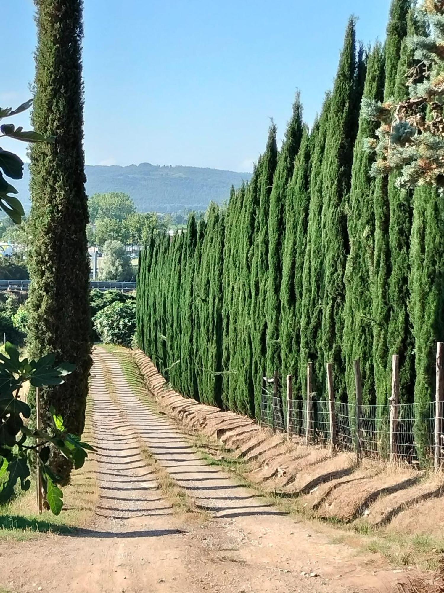 Camugnano Farm Villa Rapolano Terme Eksteriør bilde